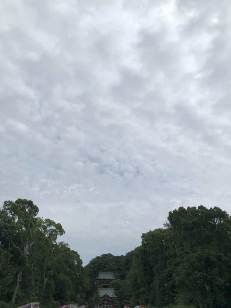 鶴岡八幡宮