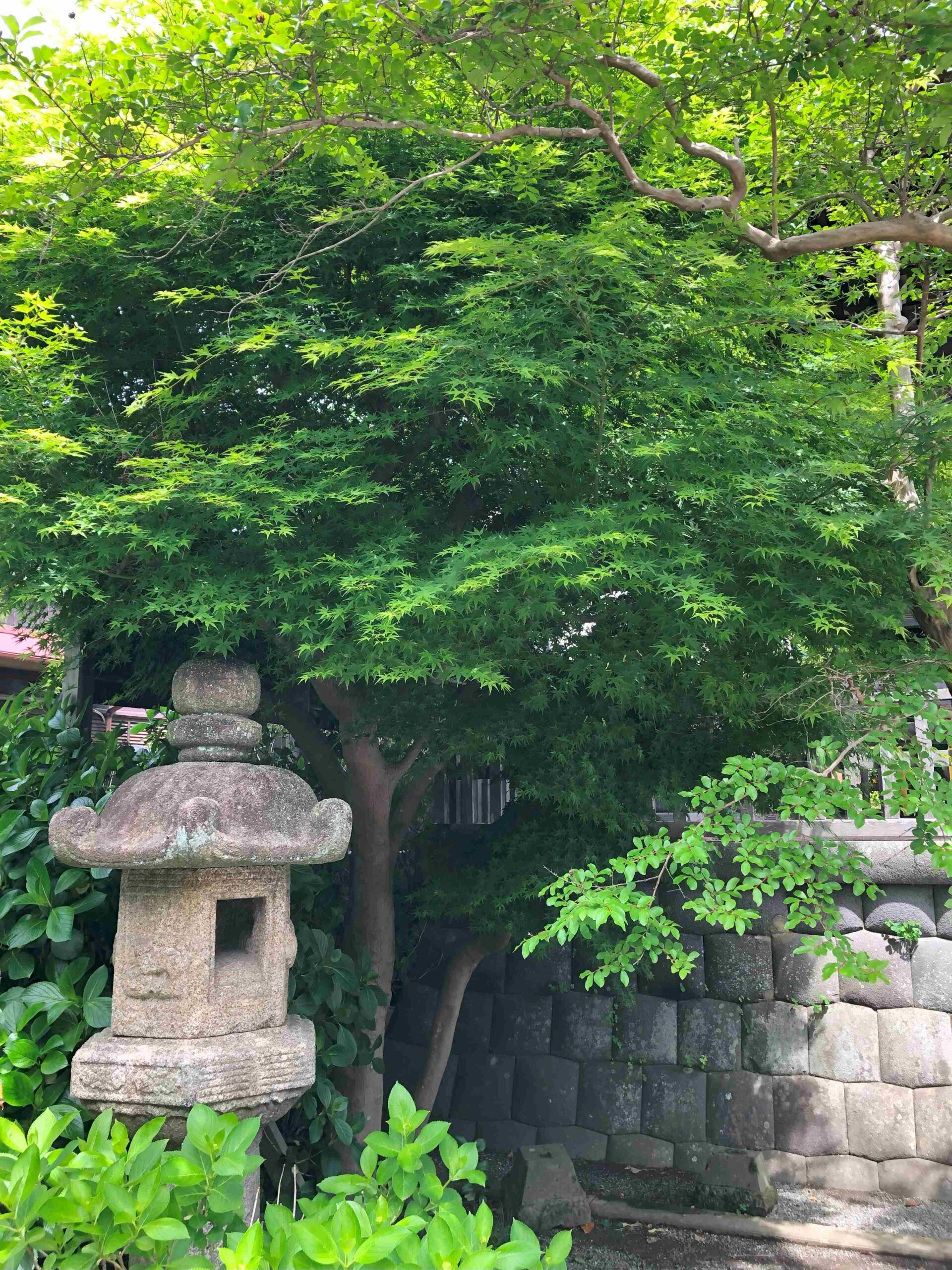 本覚寺