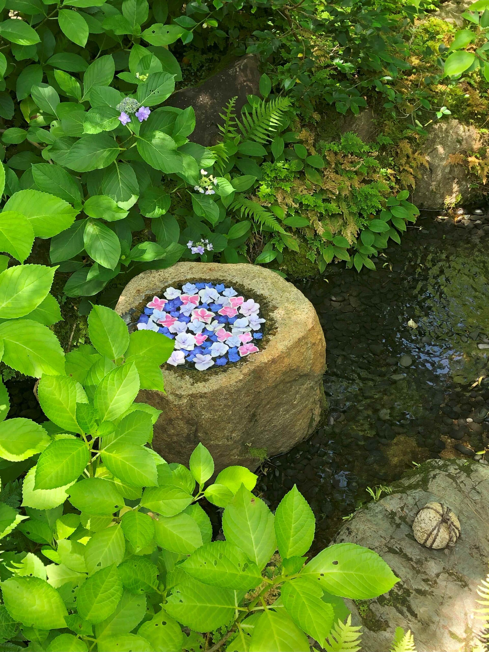 一条恵観山荘