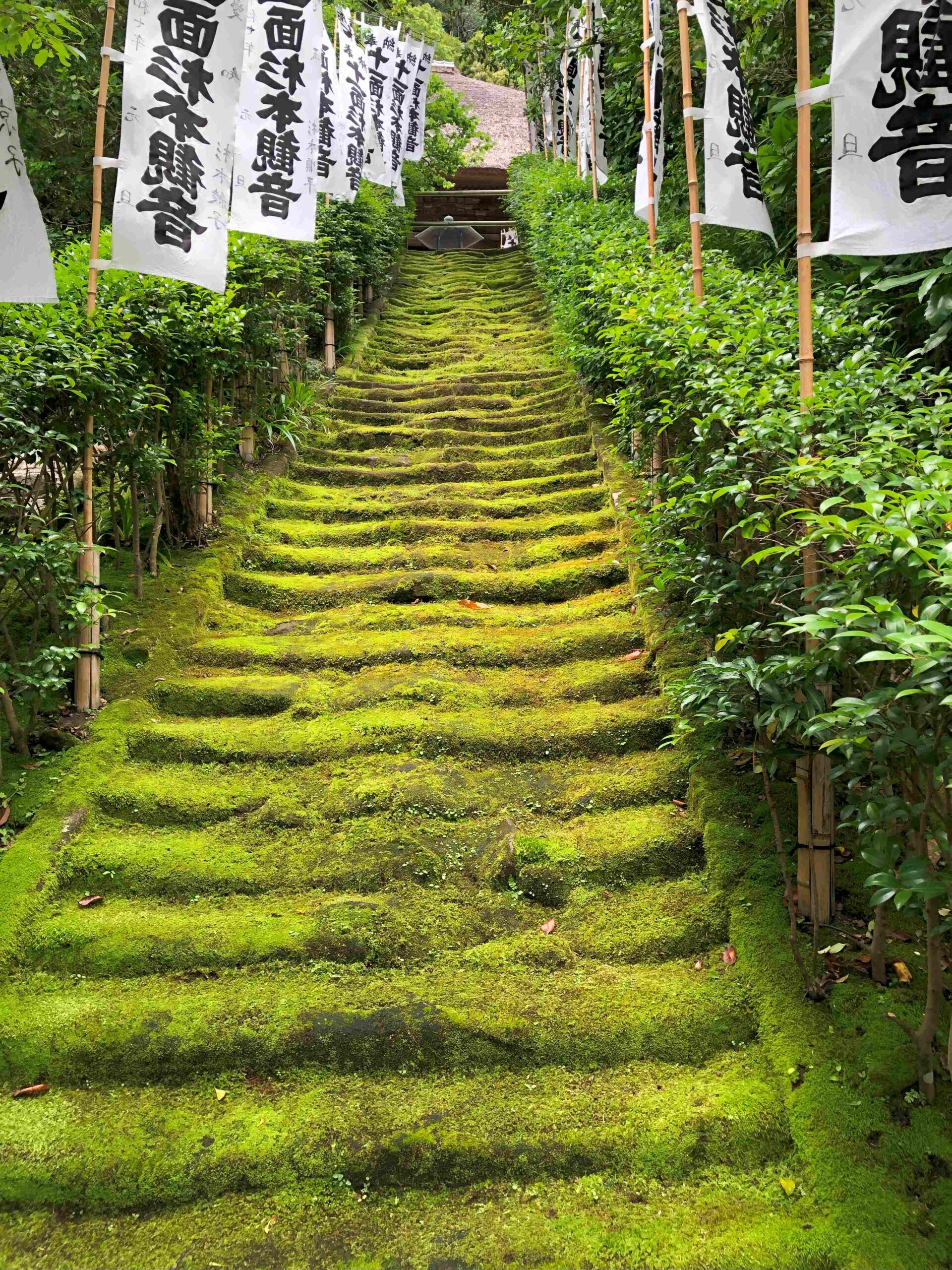 杉本寺
