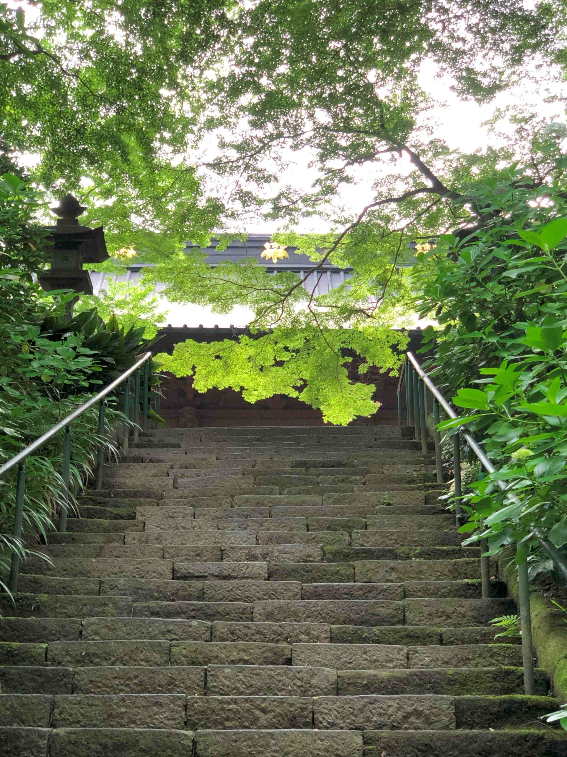 妙本寺